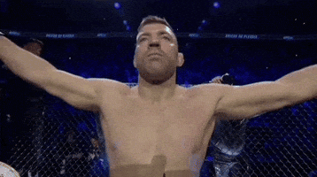 Mixed Martial Arts Sport GIF by UFC