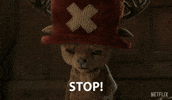 Drop It One Piece GIF by NETFLIX