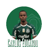 carlos eduardo thumbs up Sticker by SE Palmeiras