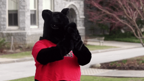 Well Done Reaction GIF by Haverford College