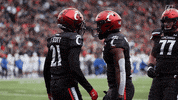 University Of Cincinnati Touchdown GIF by Cincinnati Bearcats
