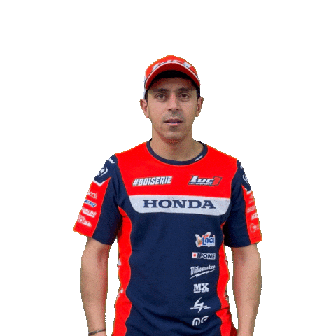 A Fond Boiserie Sticker by Luc1