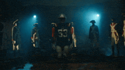 Football Nfl GIF by New England Patriots