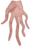 Hand Fingers Sticker by claudiamate