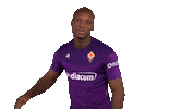 Happy Serie A Sticker by ACF Fiorentina
