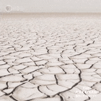Desert GIF by PBS