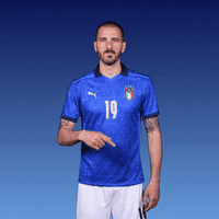 Euro 2020 Football GIF by UEFA