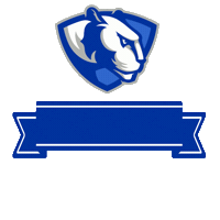Easternillinoisuniversity Classof2025 Sticker by EIU