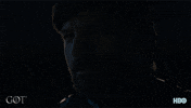 season 8 GIF by Game of Thrones