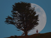 Spectacular Moonrise Sets Backdrop for Moon Dance