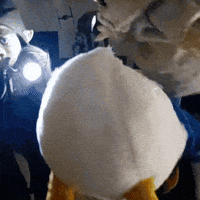 SanPitoPato donald duck pato pato donald san pito pato GIF