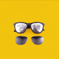 FuseLenses  GIF