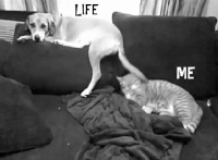 GIF by Demic