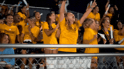 Cheer Crowd GIF by Georgia Southwestern State University