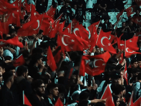 Turkiye GIF by Besiktas JK