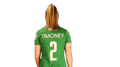 Northern Ireland Football Sticker by Glentoran Women FC