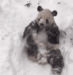 Snow Day GIF by Demic