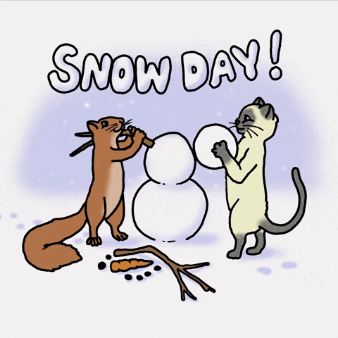 Illustrated gif. Squirrel and a cat are building a snowman together. The squirrel is affixing a branch on the body for the arm and the cat is putting on the head while it steadily snows around them. Text, "Snow day!"