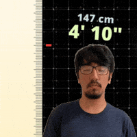 4Ft GIF