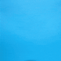 Soccer React GIF by Charlotte FC