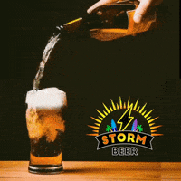 stormbeer drink cerveja bebida skol GIF