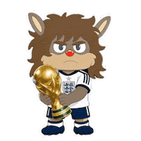 World Cup Football Sticker