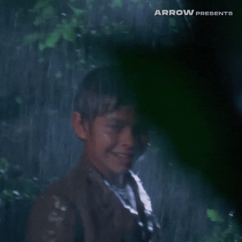 Italian Film GIF by Arrow Video