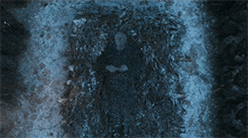 game of thrones the t GIF