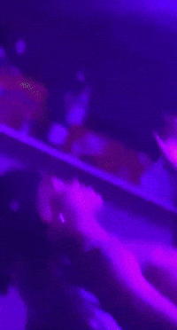 Rrr GIF by tdangerofficial