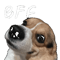 Bff Corgi Sticker