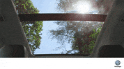 animation vw GIF by Volkswagen USA