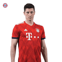 robert lewandowski lol GIF by FC Bayern Munich