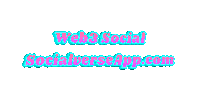 Media Web Sticker by Socialverse app