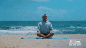 Lando Norris Beach GIF by Hilton Hotels