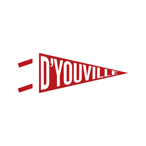 Buffalo Ny Saints Sticker by D'Youville University