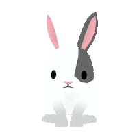 Bunny Rabbit Sticker