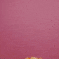 Good Morning Party GIF