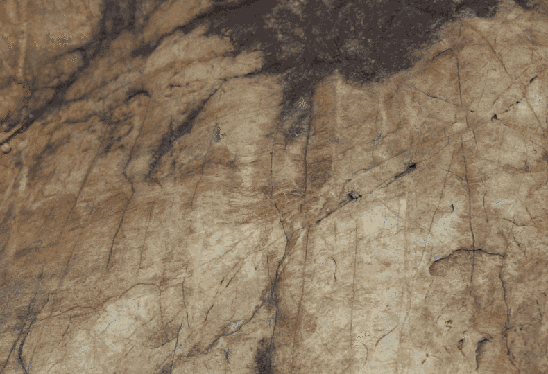 Blackview giphyupload GIF