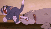 tom jerry GIF