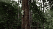 frameworks GIF by Topshelf Records