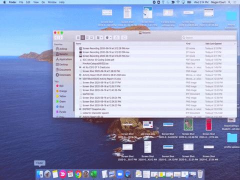 MeganCourtWork giphygifmaker GIF