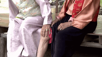 palomafoody giphyupload GIF