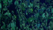 bonnaroo 2016 GIF by Bonnaroo Music and Arts Festival