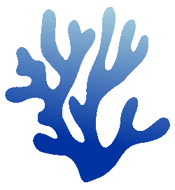 Wave Sea Sticker by GOT BAG