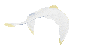 thatgamecompany sky Manta tgc thatskygame Sticker