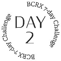 Day 2 Sticker by Body Complete Rx