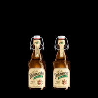 dithmarscher_brauerei party drink beer cheers GIF