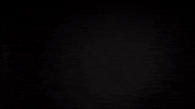 Merry Christmas GIF by Bernardson