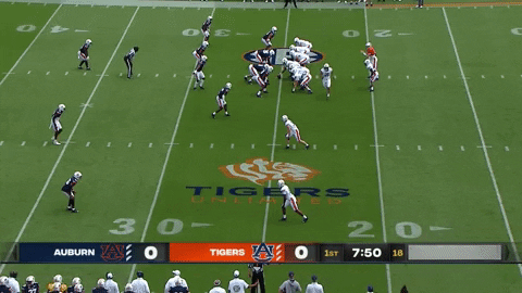 joshvitale giphyupload GIF
