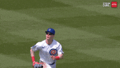 Chicago Cubs Wow GIF